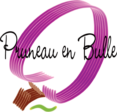 ©Jihem / Logo Pruneau en Bulle / vers site édition 2008 ...